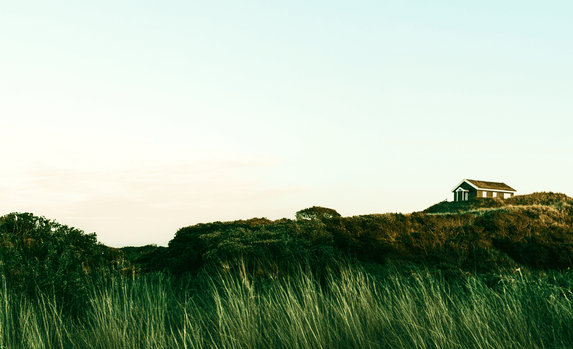 company introduction main